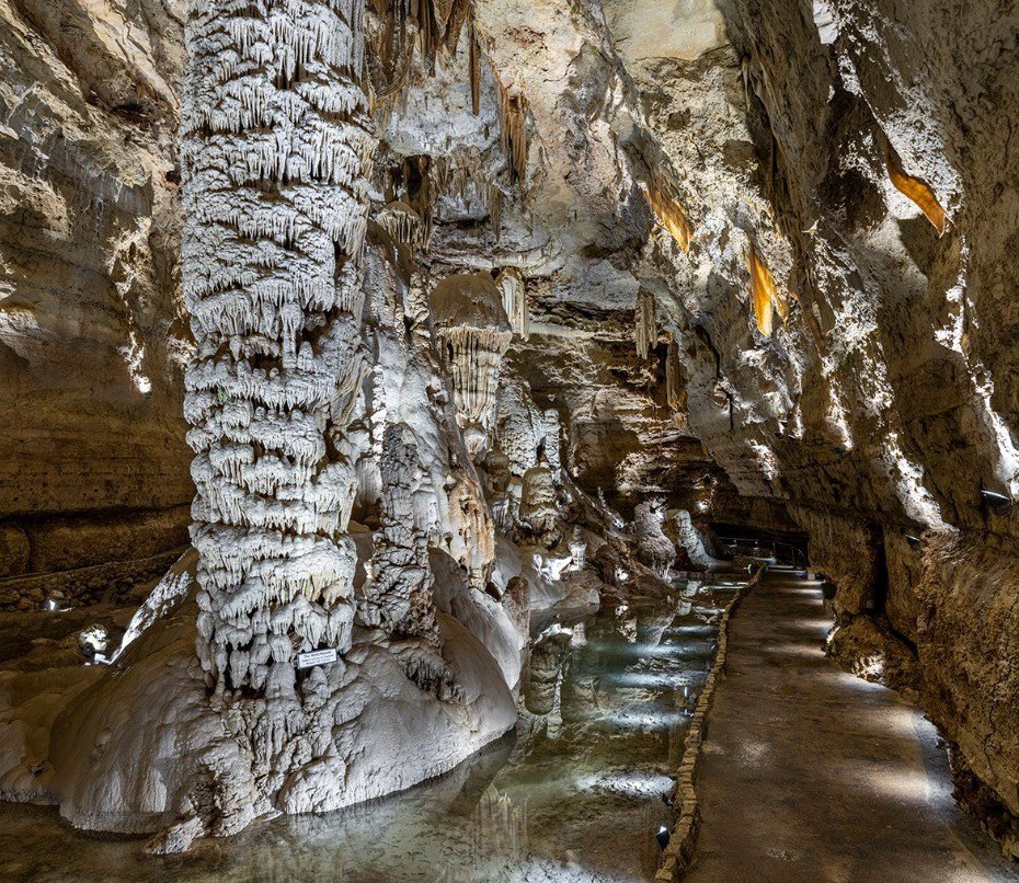 Wildlife Ranch - Drive-through Safari Experience, San Antonio, Texas