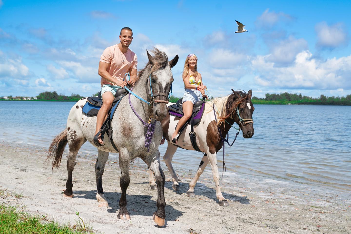 Exploring Destin Horseback Riding on the Beach: An Unforgettable Experience