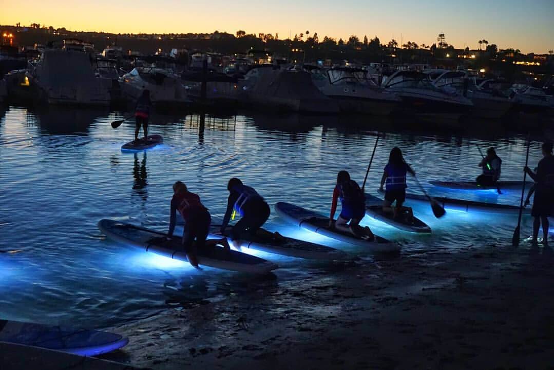 Stand Up & Shine Night SUP (paddle boarding) Glow Tour with Nocqua LED  Lights Jupiter