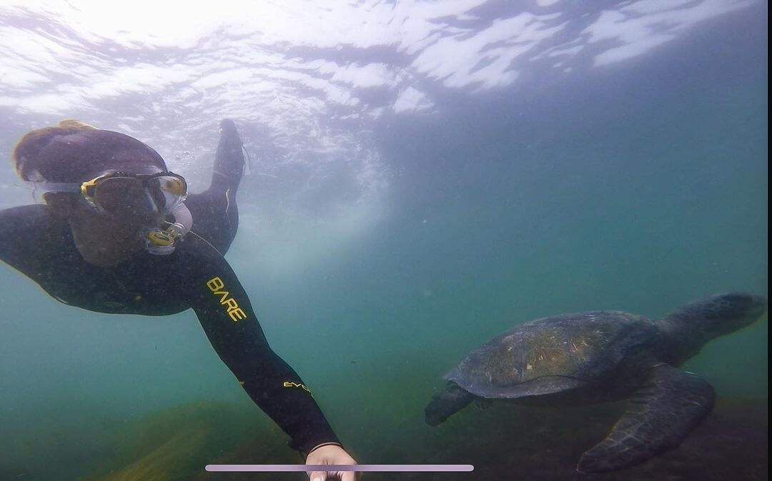 SnorkelingLa Jolla, CA