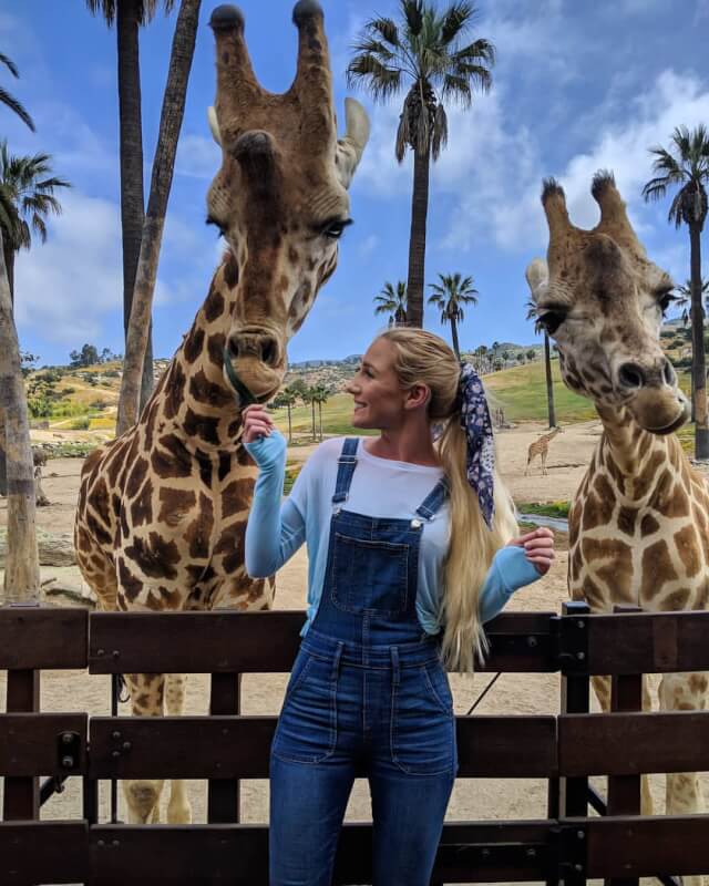 Roar and Snore Overnight Camping in the San Diego Zoo