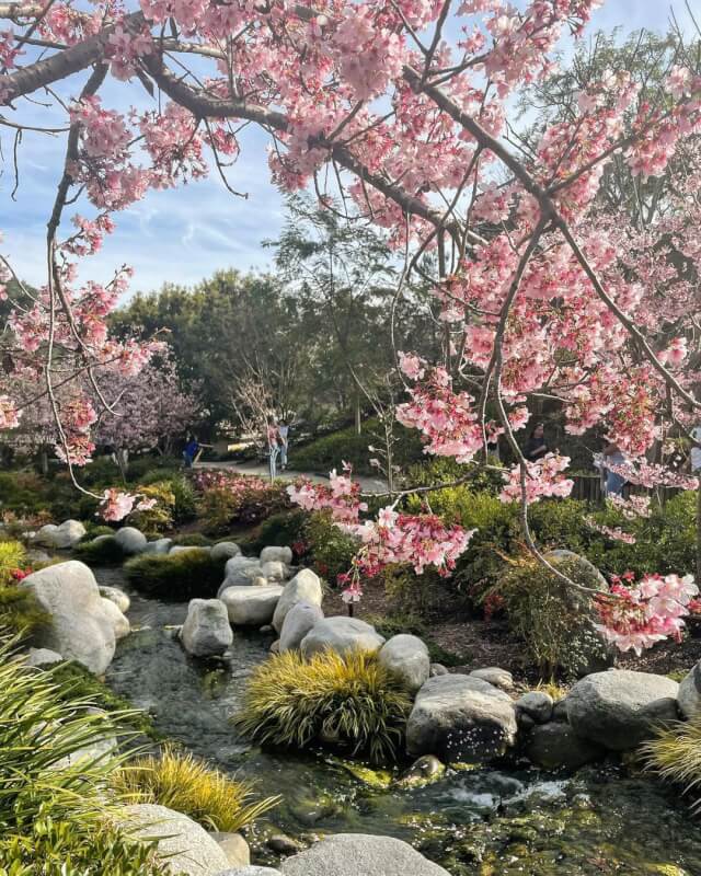 The Best San Diego Japanese Garden